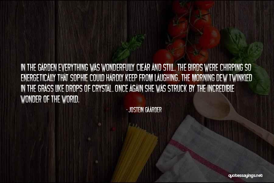 Sophie's World Quotes By Jostein Gaarder Sophie's World Quotes By Jostein Gaarder