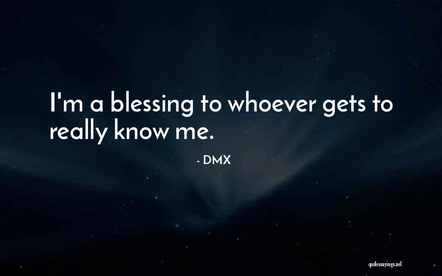 Sophism Quotes By DMX Sophism Quotes By DMX