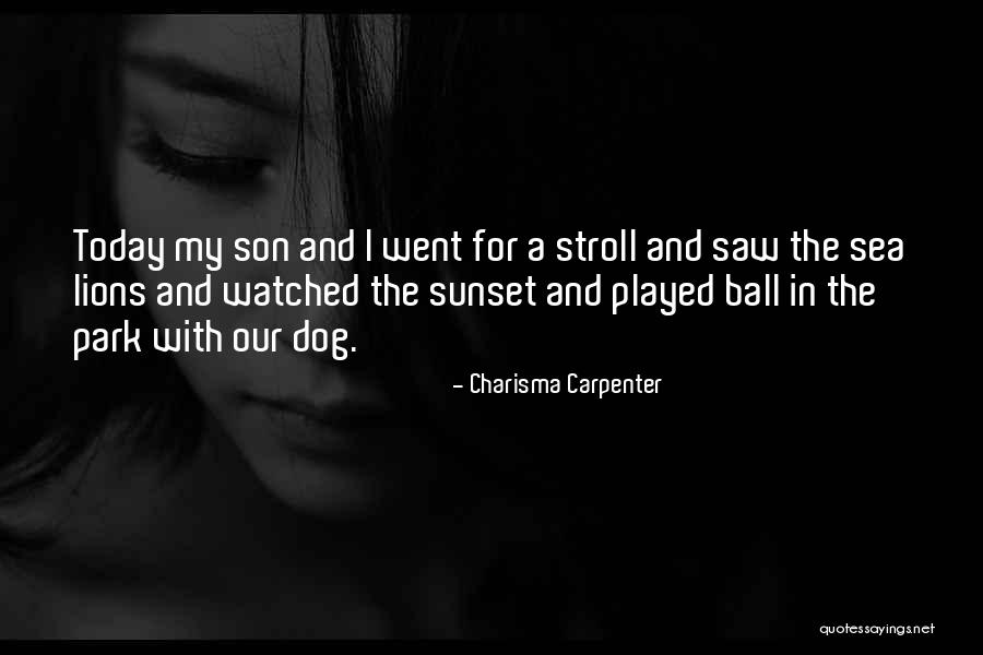 Sophisms In A Sentence Quotes By Charisma Carpenter Sophisms In A Sentence Quotes By Charisma Carpenter