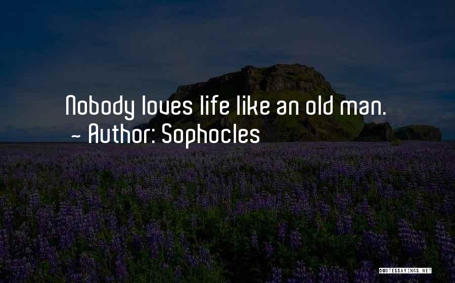 Sophocles Quotes 1822729