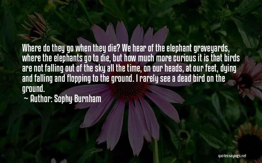 Sophy Burnham Quotes 2181238