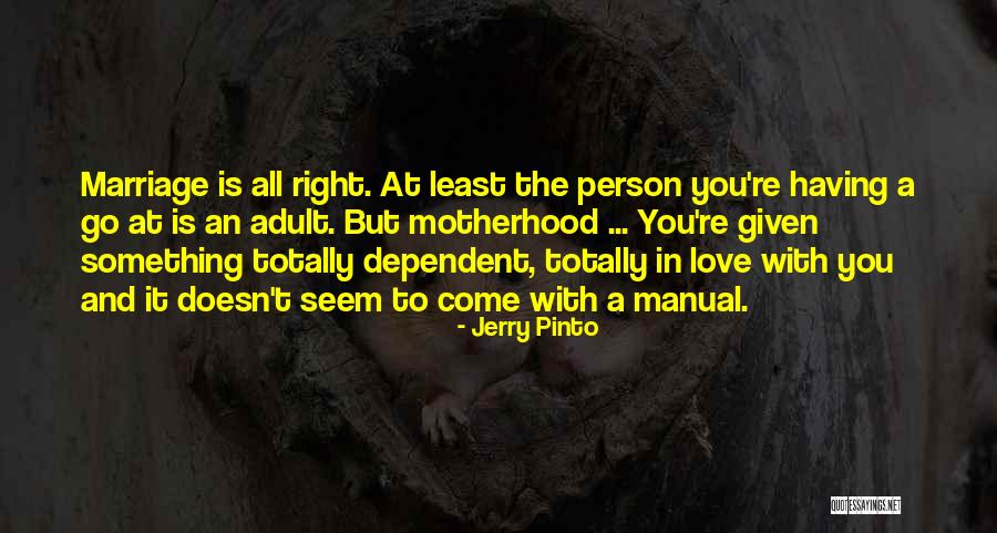 Sophya Blog Quotes By Jerry Pinto Sophya Blog Quotes By Jerry Pinto