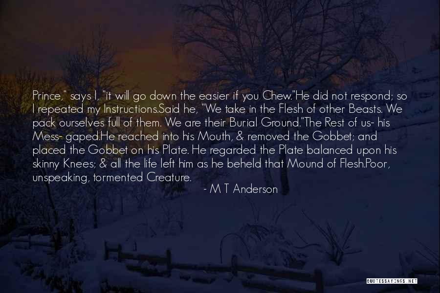 Sopiko Chiaureli Quotes By M T Anderson Sopiko Chiaureli Quotes By M T Anderson