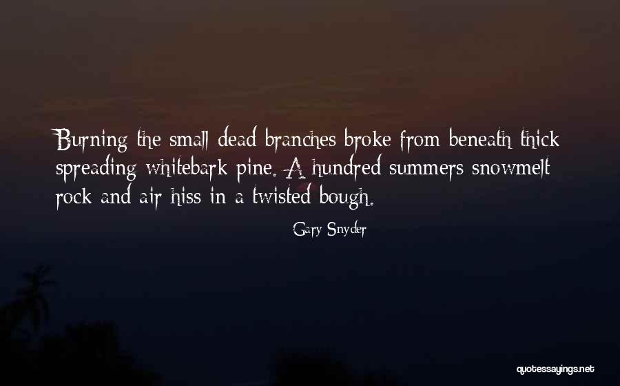 Sopiko Khukhashvili Quotes By Gary Snyder Sopiko Khukhashvili Quotes By Gary Snyder