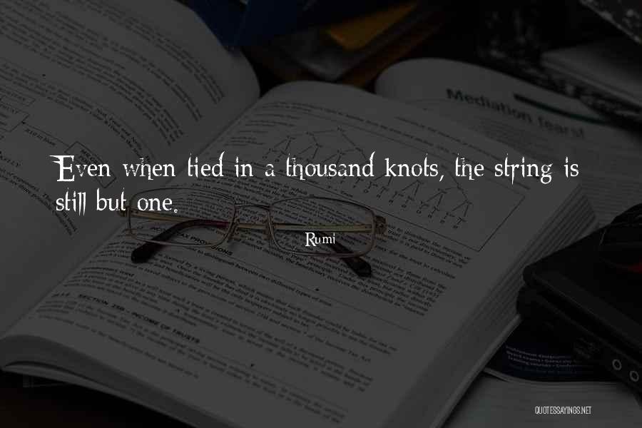 Sopoaga Family Reunion Quotes By Rumi Sopoaga Family Reunion Quotes By Rumi
