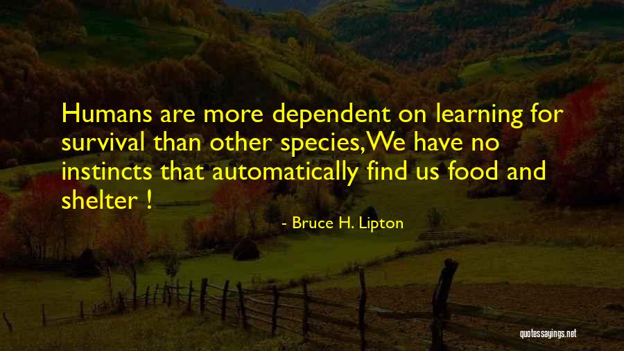 Sopoaga Waterfall Quotes By Bruce H. Lipton Sopoaga Waterfall Quotes By Bruce H. Lipton
