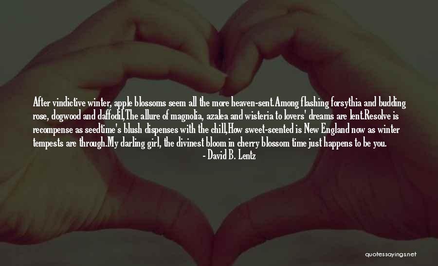 Soportes Quotes By David B. Lentz Soportes Quotes By David B. Lentz
