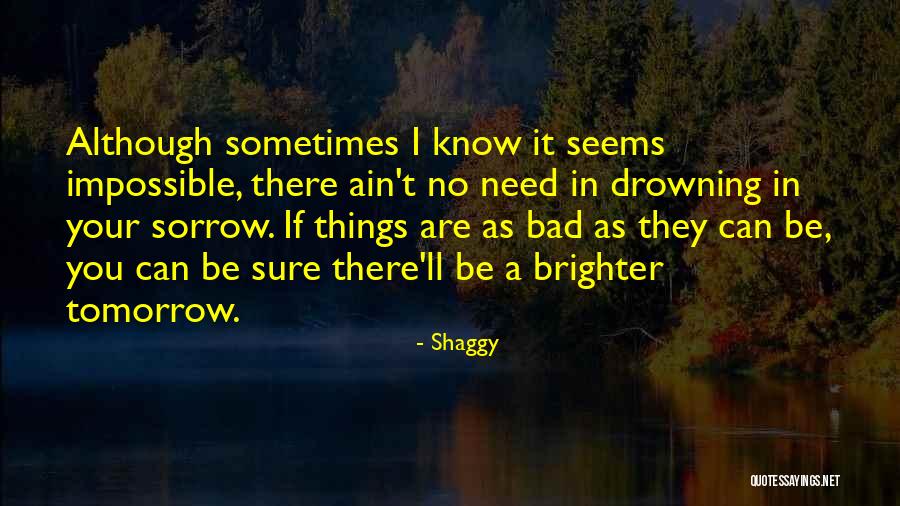 Soppy Define Quotes By Shaggy Soppy Define Quotes By Shaggy