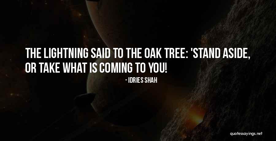 Soquette Quotes By Idries Shah Soquette Quotes By Idries Shah