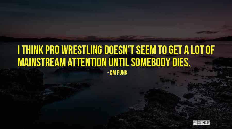 Soraya Tarzi Quotes By CM Punk Soraya Tarzi Quotes By CM Punk
