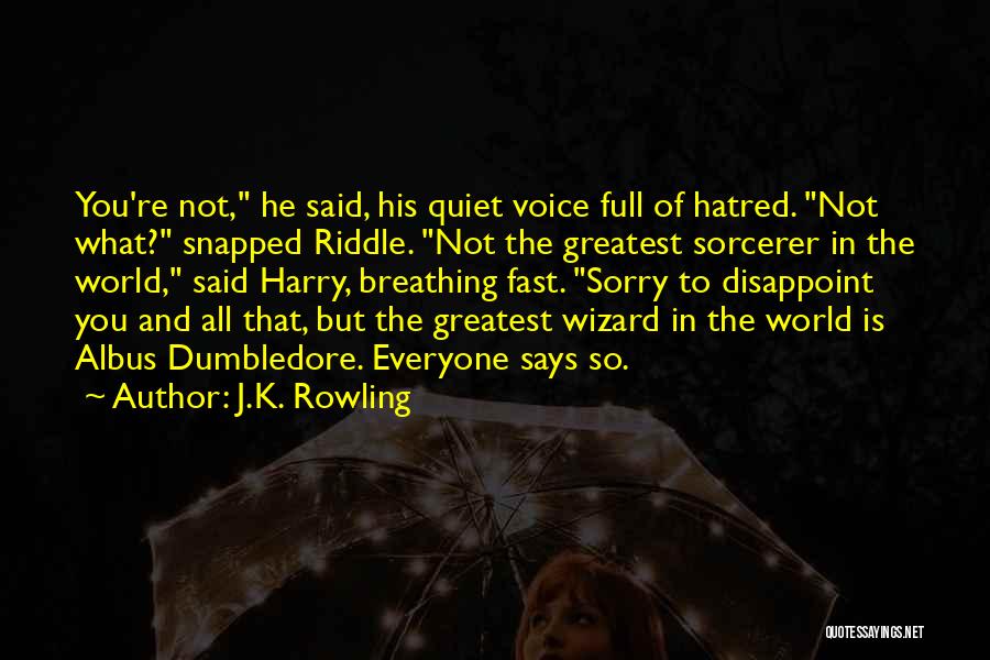 Sorcerer Quotes By J.K. Rowling