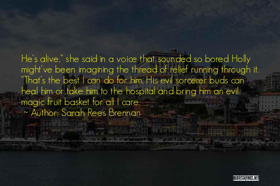 Sorcerer Quotes By Sarah Rees Brennan