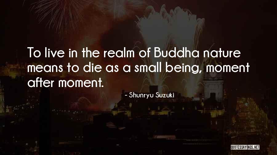 Sorcha Faal Website Quotes By Shunryu Suzuki Sorcha Faal Website Quotes By Shunryu Suzuki