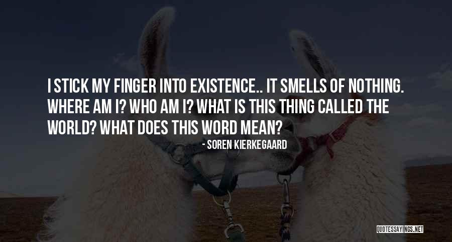 Soren Kierkegaard Quotes 1230592 Soren Kierkegaard Quotes 1230592