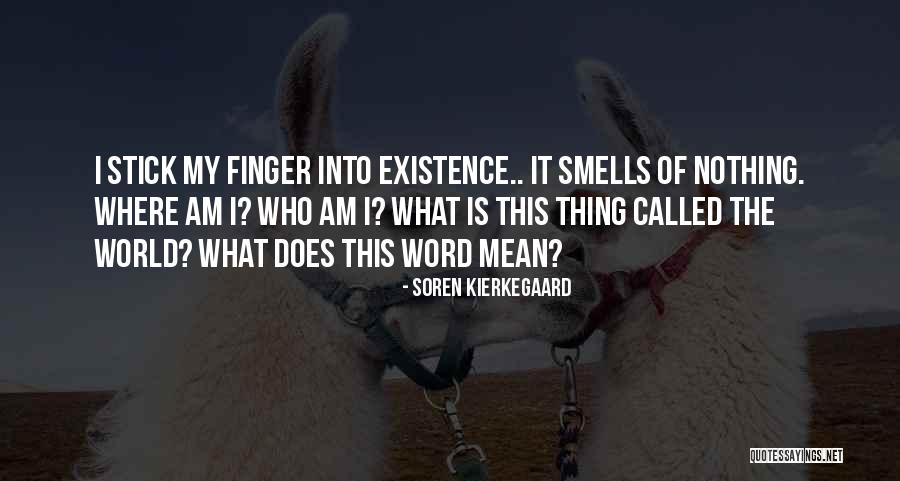 Soren Kierkegaard Quotes 1230592