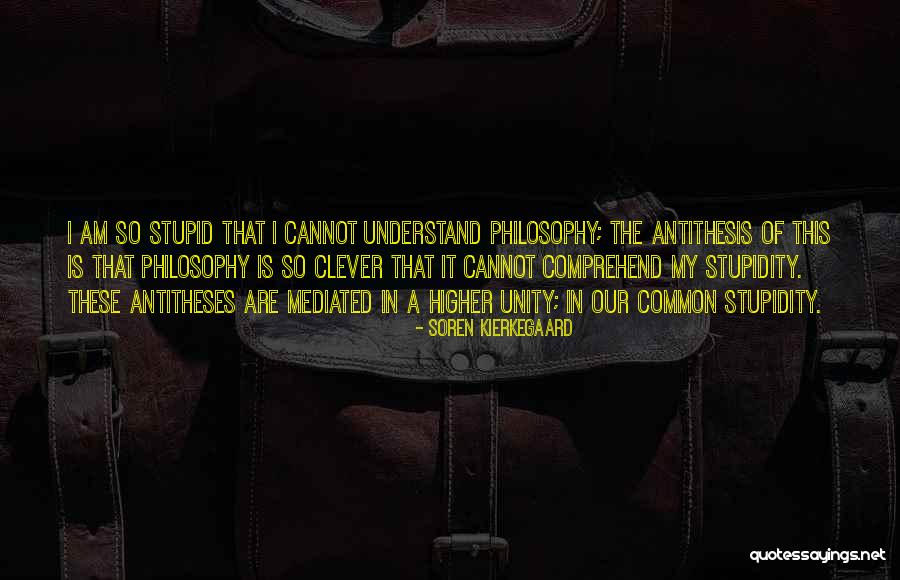 Soren Kierkegaard Quotes 2045007 Soren Kierkegaard Quotes 2045007