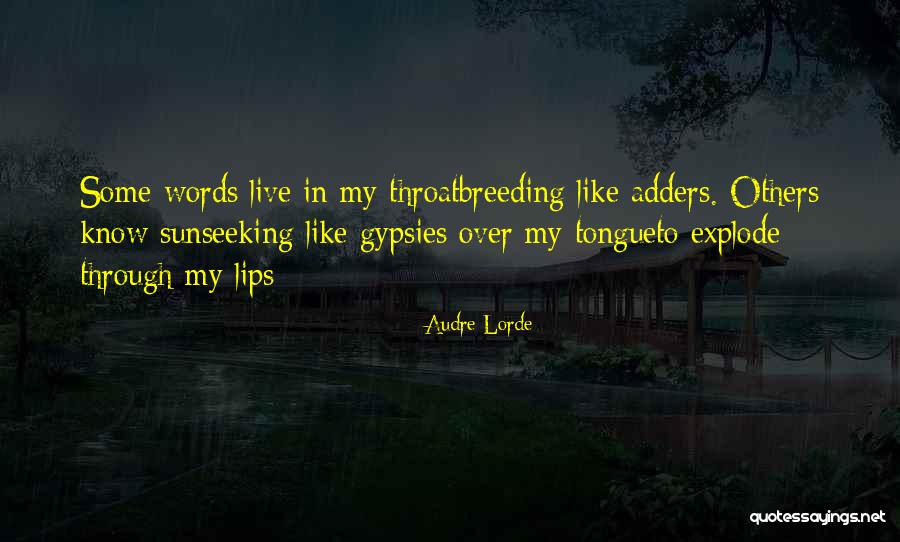 Soriana Super Quotes By Audre Lorde Soriana Super Quotes By Audre Lorde