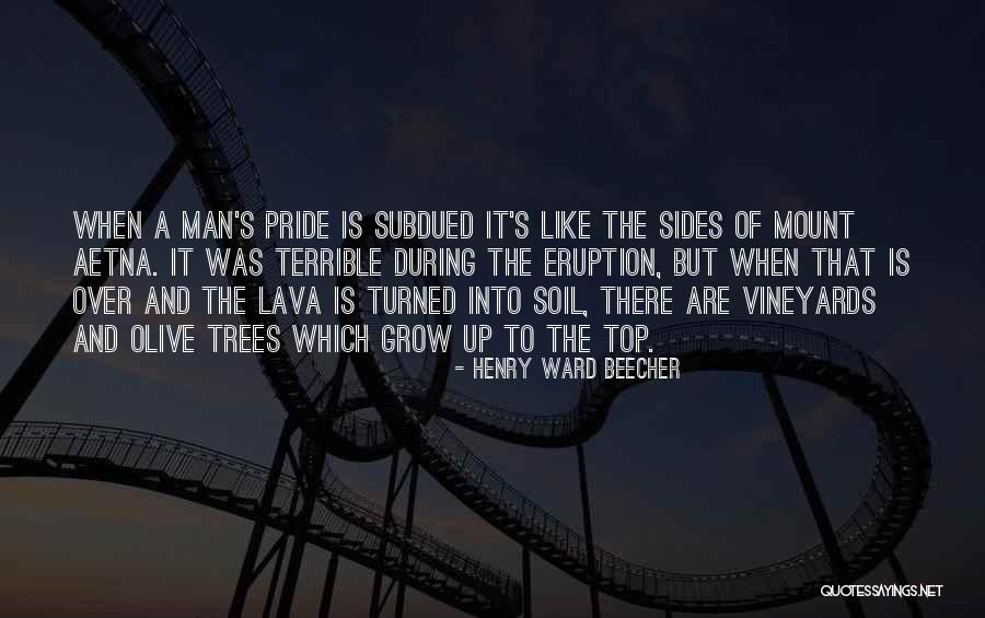 Soriana Super Quotes By Henry Ward Beecher Soriana Super Quotes By Henry Ward Beecher