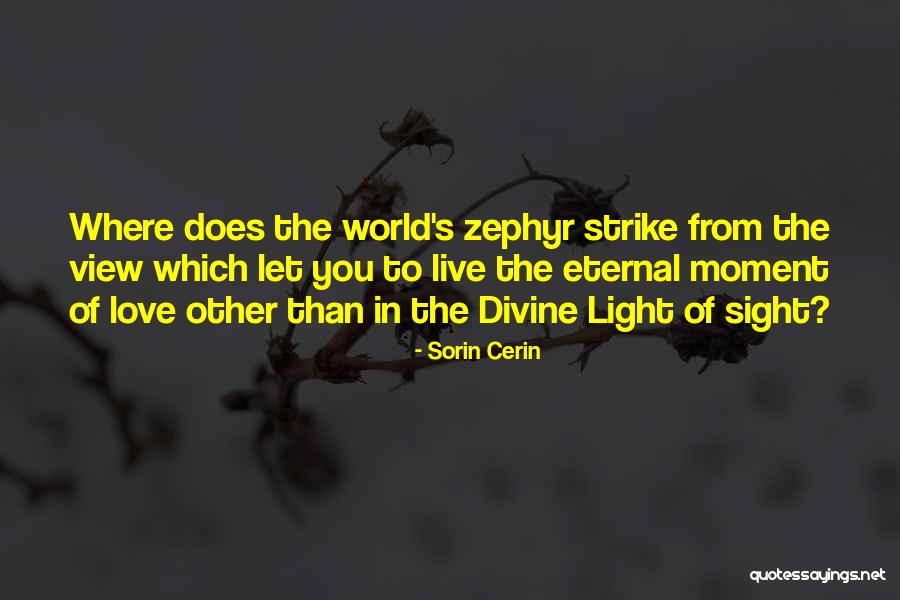 Sorin Cerin Quotes 1087486 Sorin Cerin Quotes 1087486