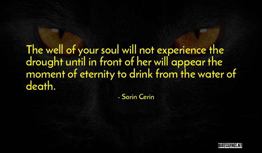 Sorin Cerin Quotes 1293236 Sorin Cerin Quotes 1293236
