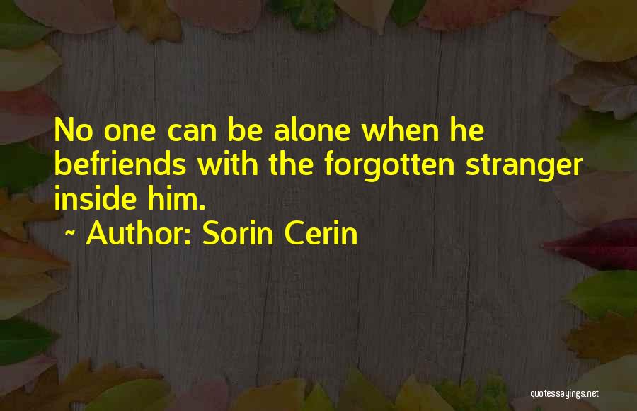 Sorin Cerin Quotes 1362280