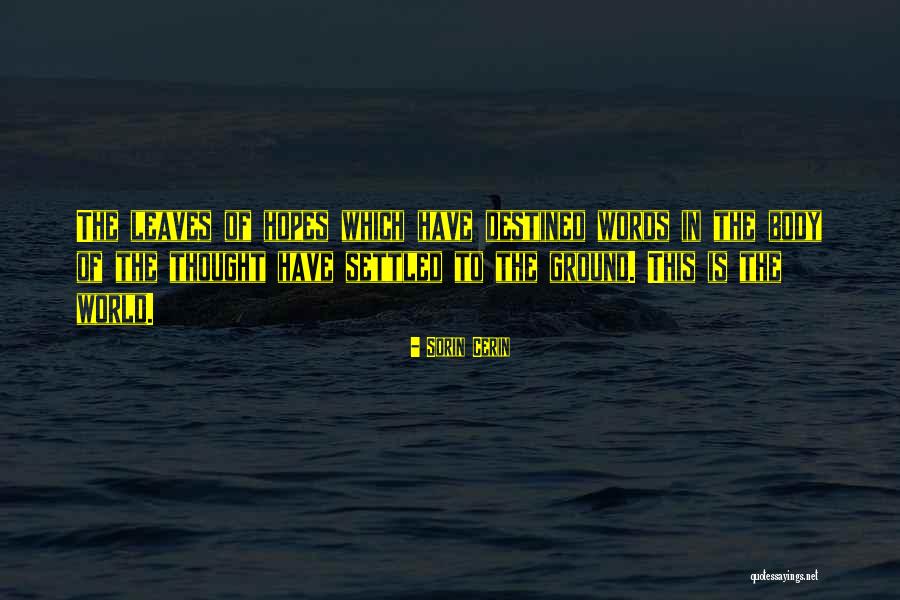 Sorin Cerin Quotes 1515624 Sorin Cerin Quotes 1515624