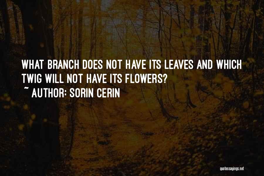 Sorin Cerin Quotes 1560115