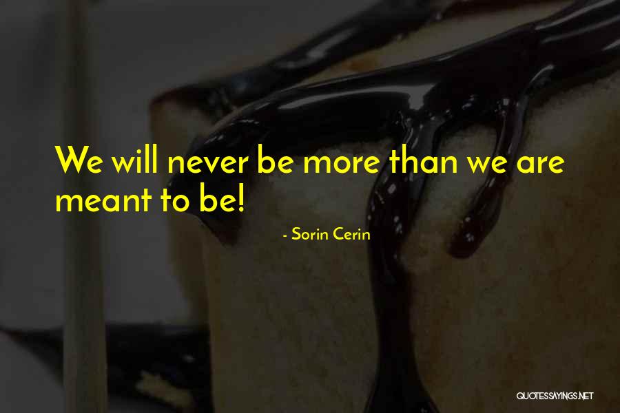 Sorin Cerin Quotes 1675120 Sorin Cerin Quotes 1675120