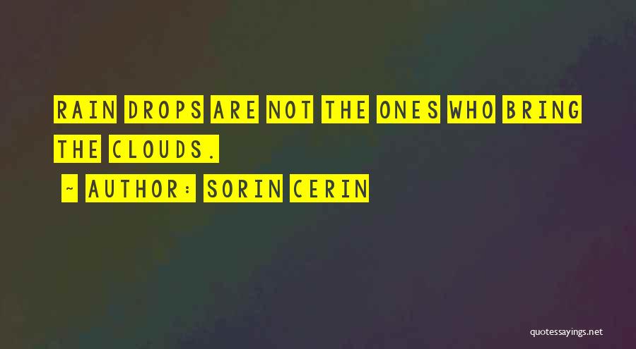 Sorin Cerin Quotes 1749750