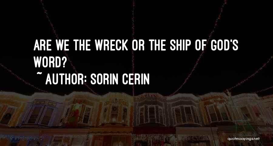 Sorin Cerin Quotes 1816163