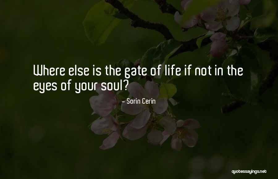 Sorin Cerin Quotes 2104611 Sorin Cerin Quotes 2104611