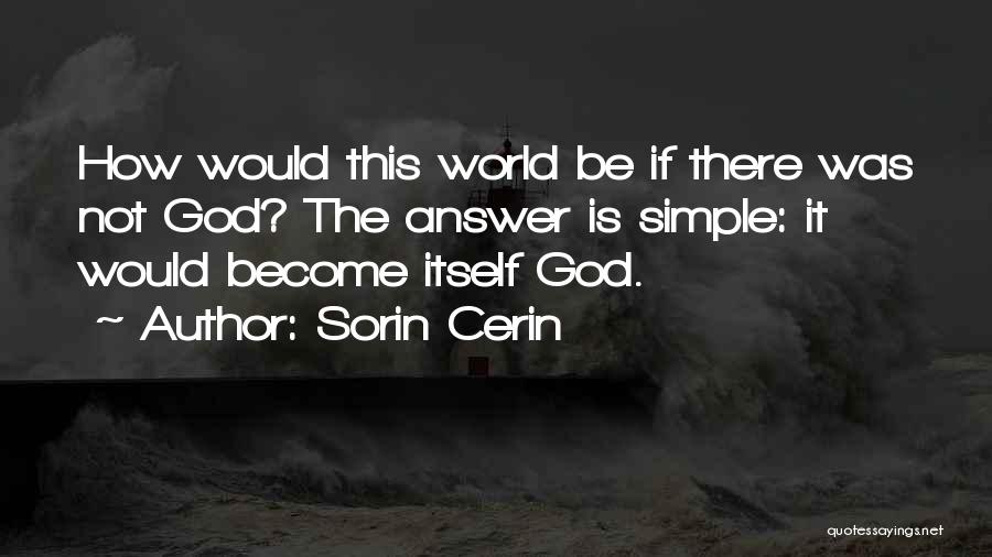 Sorin Cerin Quotes 2193709