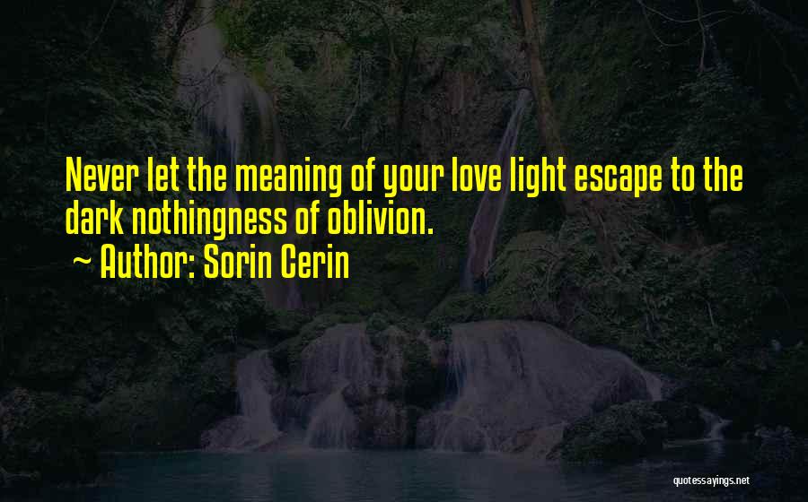 Sorin Cerin Quotes 332956