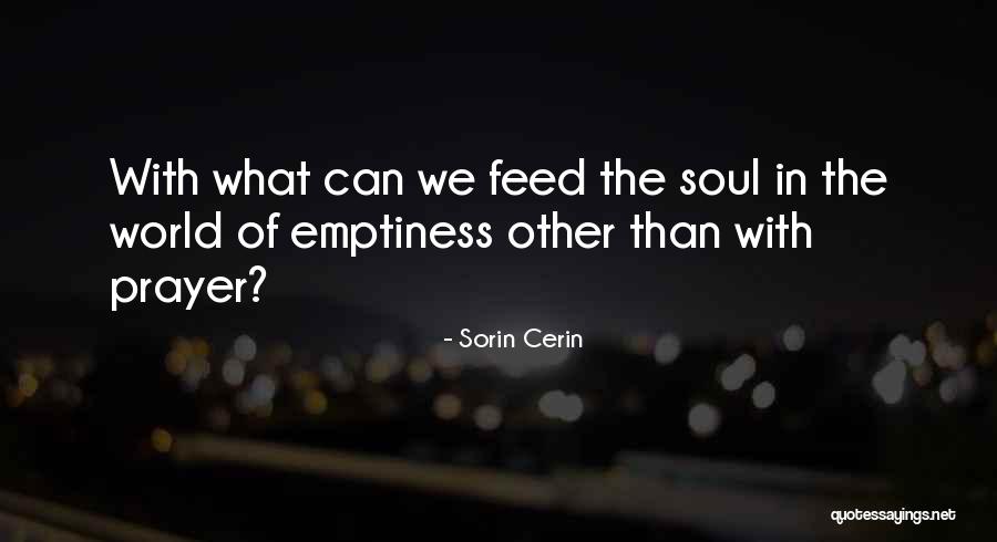 Sorin Cerin Quotes 340873 Sorin Cerin Quotes 340873