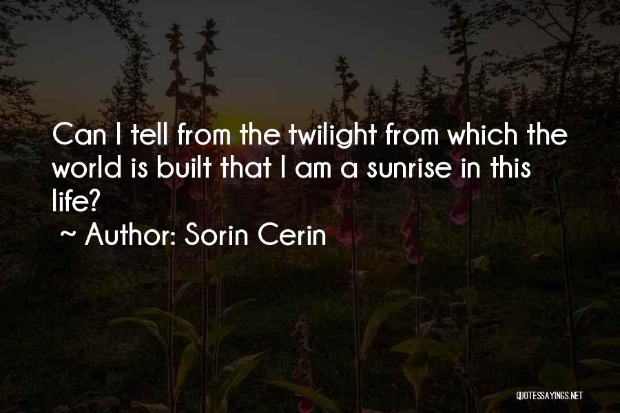 Sorin Cerin Quotes 696205