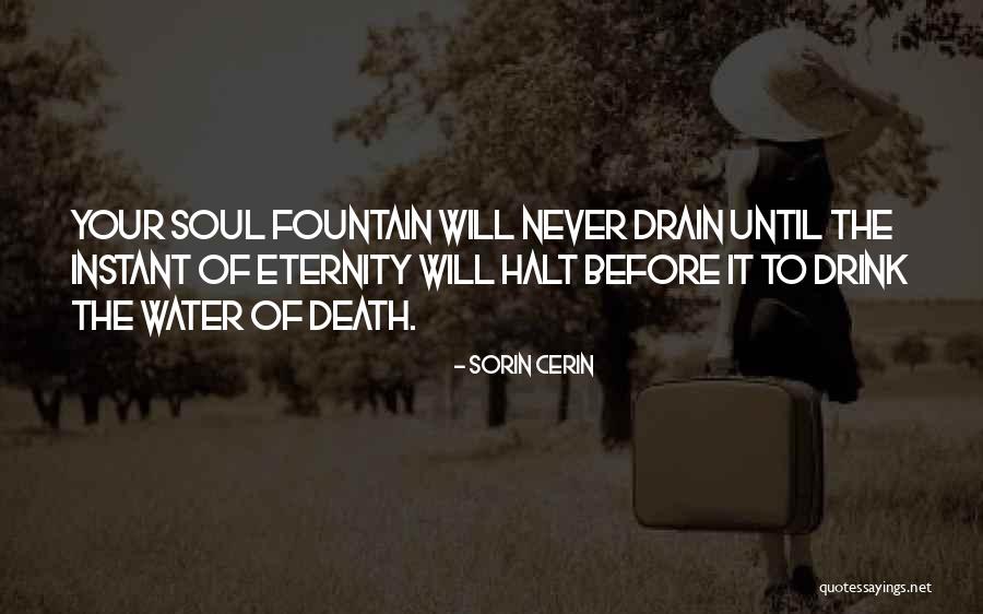 Sorin Cerin Quotes 713723 Sorin Cerin Quotes 713723