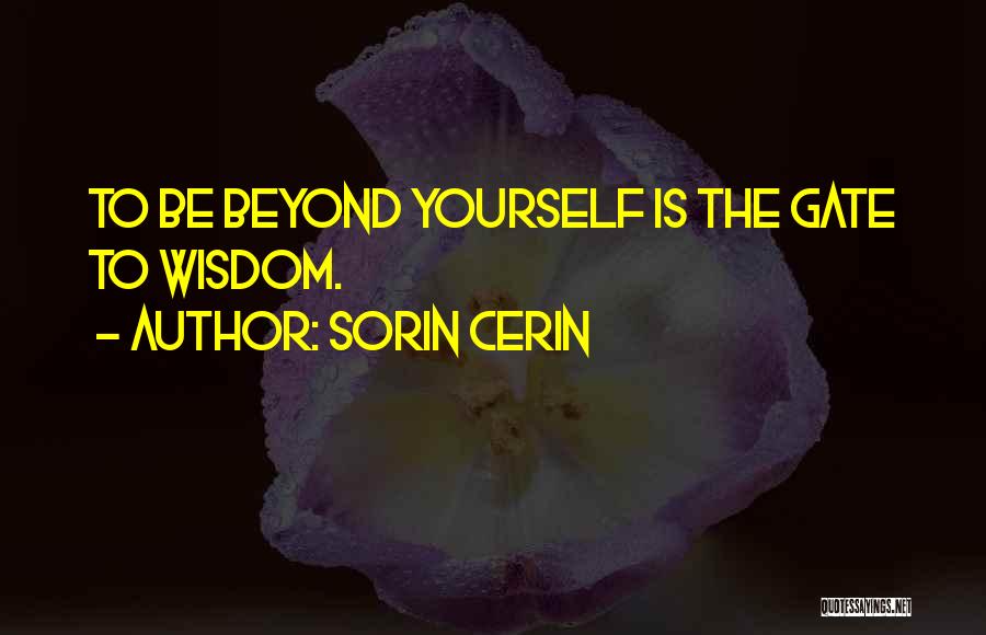 Sorin Cerin Quotes 74974