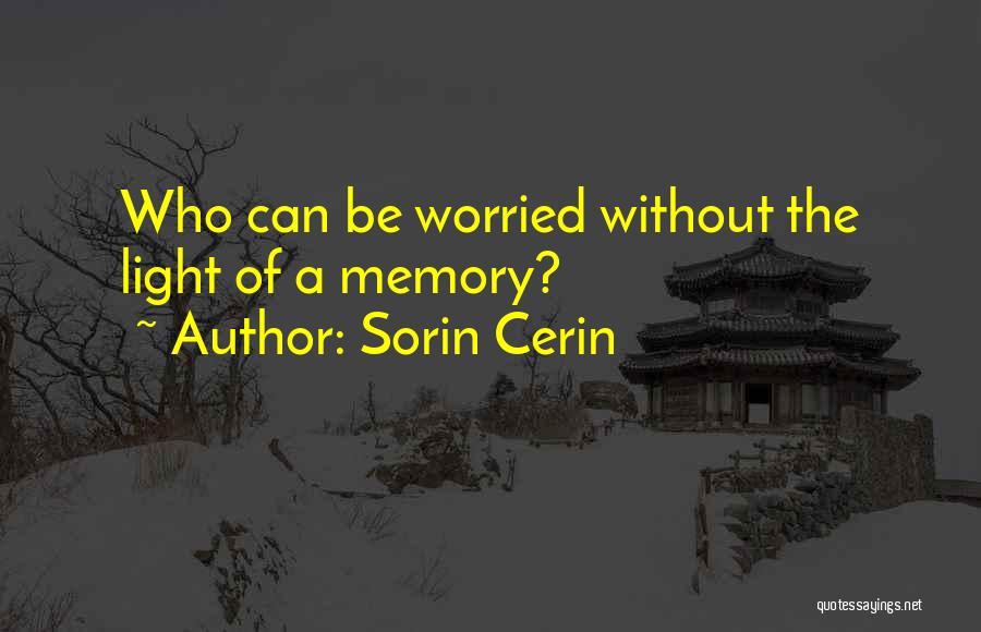 Sorin Cerin Quotes 879802