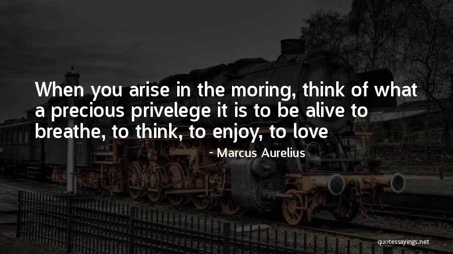 Sorkins Rx Ltd Quotes By Marcus Aurelius