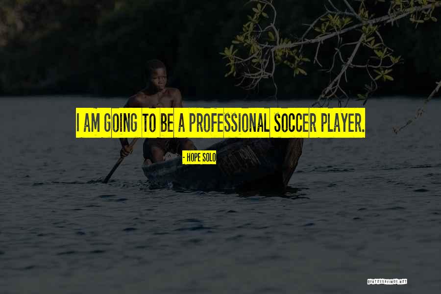 Sorley Tax Quotes By Hope Solo Sorley Tax Quotes By Hope Solo