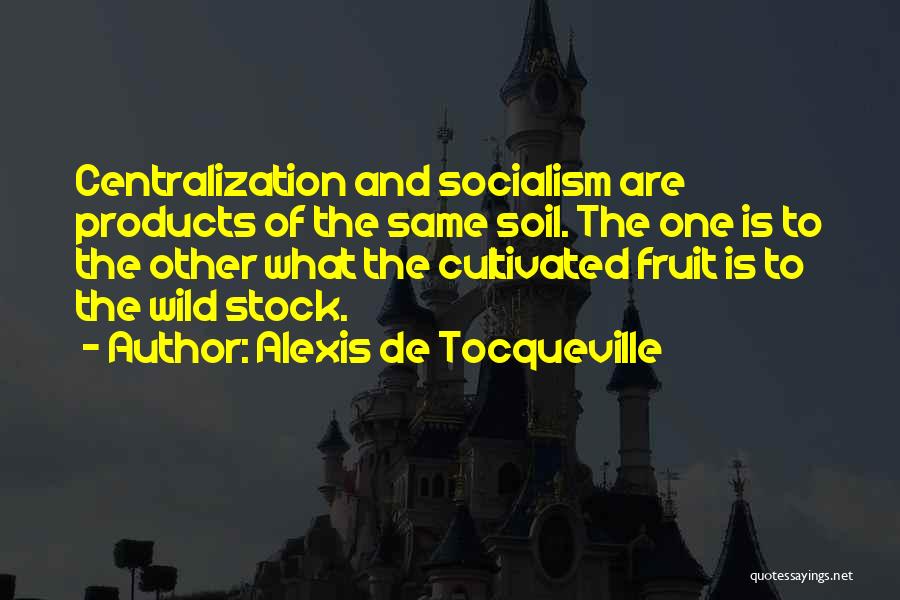 Soroa Cascada Quotes By Alexis De Tocqueville