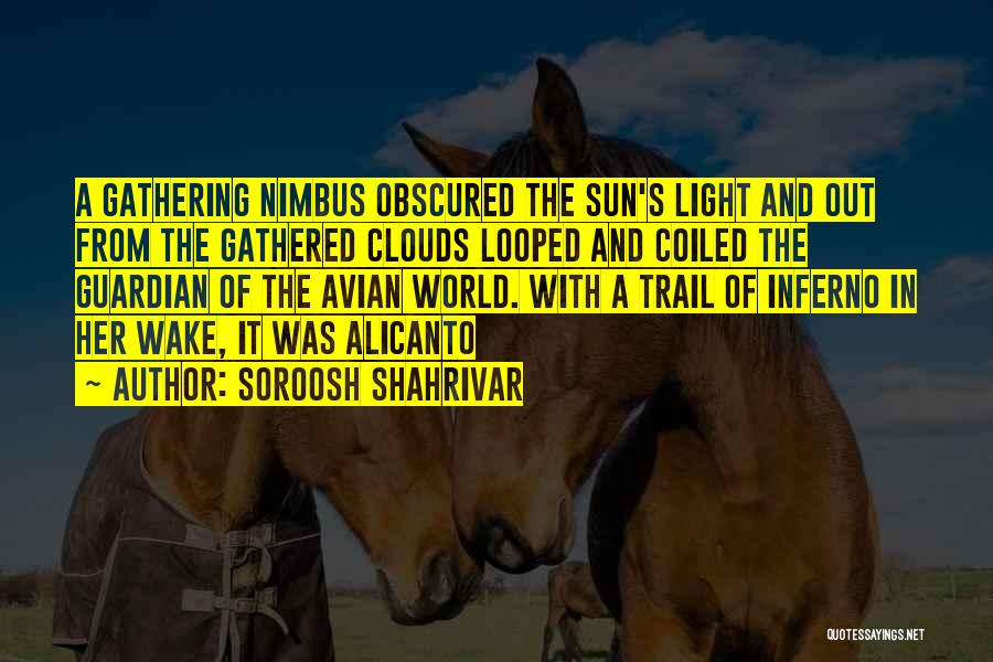 Soroosh Shahrivar Quotes 1131133