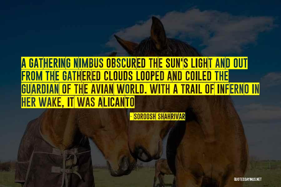 Soroosh Shahrivar Quotes 1131133 Soroosh Shahrivar Quotes 1131133
