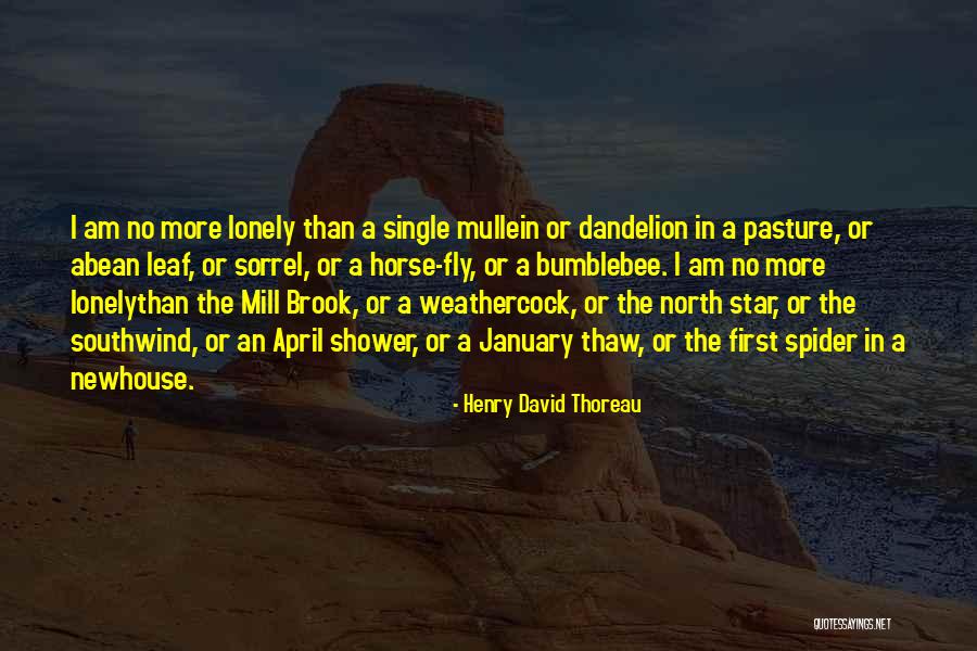 Sorrel Quotes By Henry David Thoreau Sorrel Quotes By Henry David Thoreau