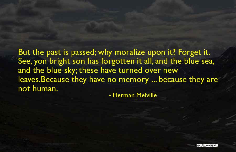 Sorrel Quotes By Herman Melville Sorrel Quotes By Herman Melville