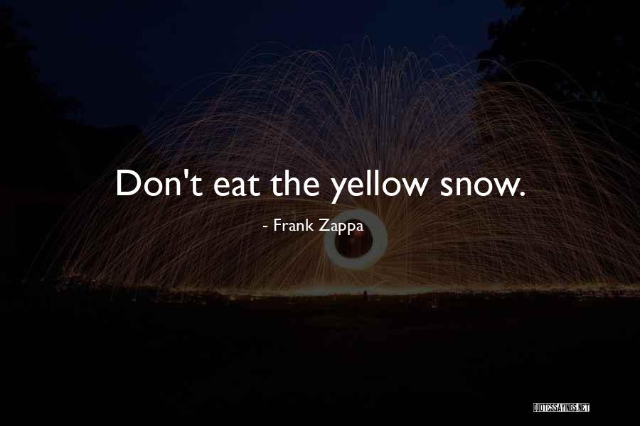 Sorrier Pursuit Quotes By Frank Zappa Sorrier Pursuit Quotes By Frank Zappa