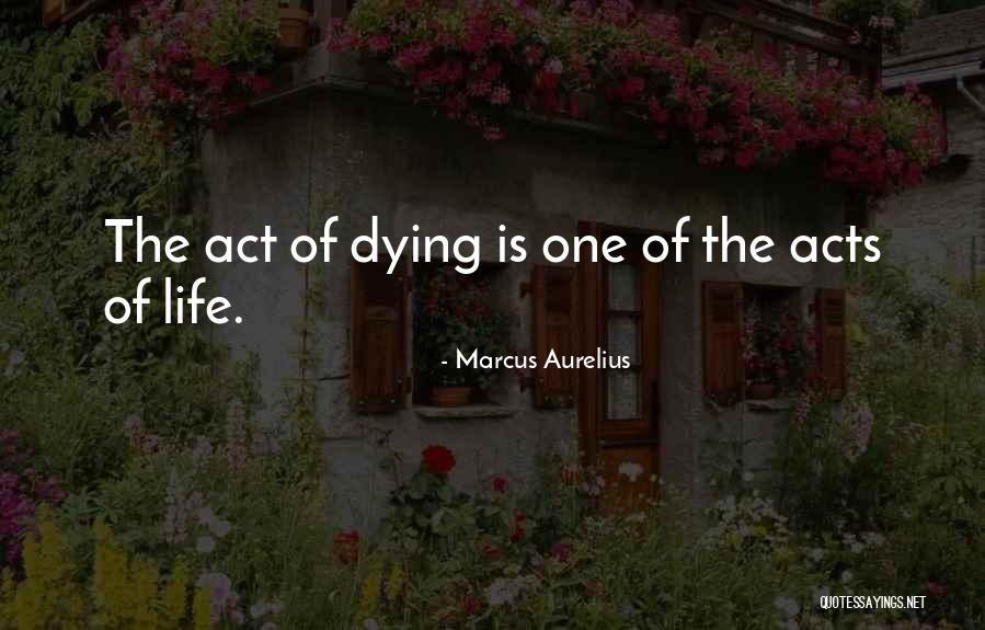 Sorriso Maroto Quotes By Marcus Aurelius Sorriso Maroto Quotes By Marcus Aurelius
