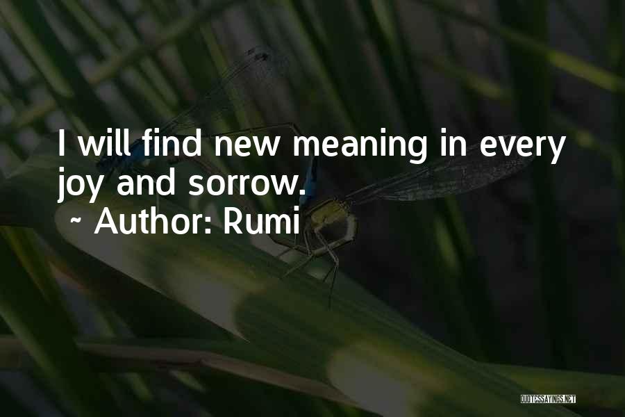 Sorrow And Joy Quotes By Rumi