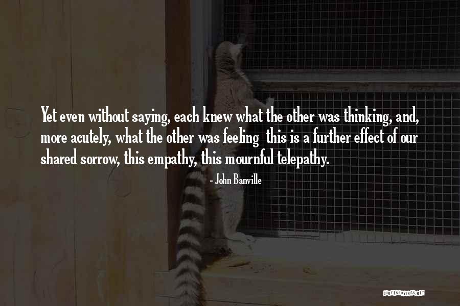 Sorrow Feeling Quotes By John Banville Sorrow Feeling Quotes By John Banville