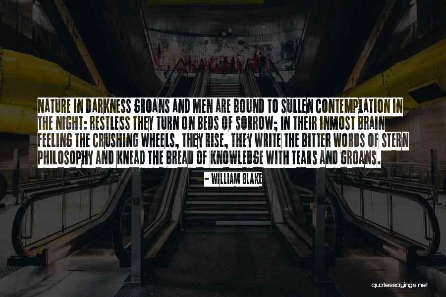 Sorrow Feeling Quotes By William Blake Sorrow Feeling Quotes By William Blake